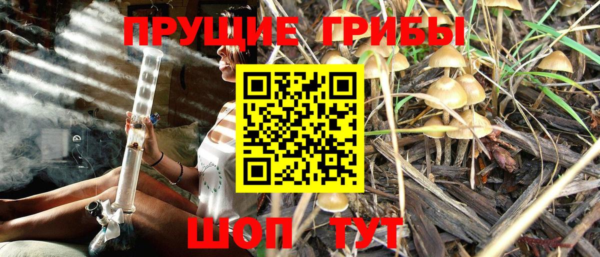 где продают наркотики  Псилоцибиновые грибы Magic Shrooms  Вход с VPN  Галлюциногенные грибы Psilocybe  Нягань 